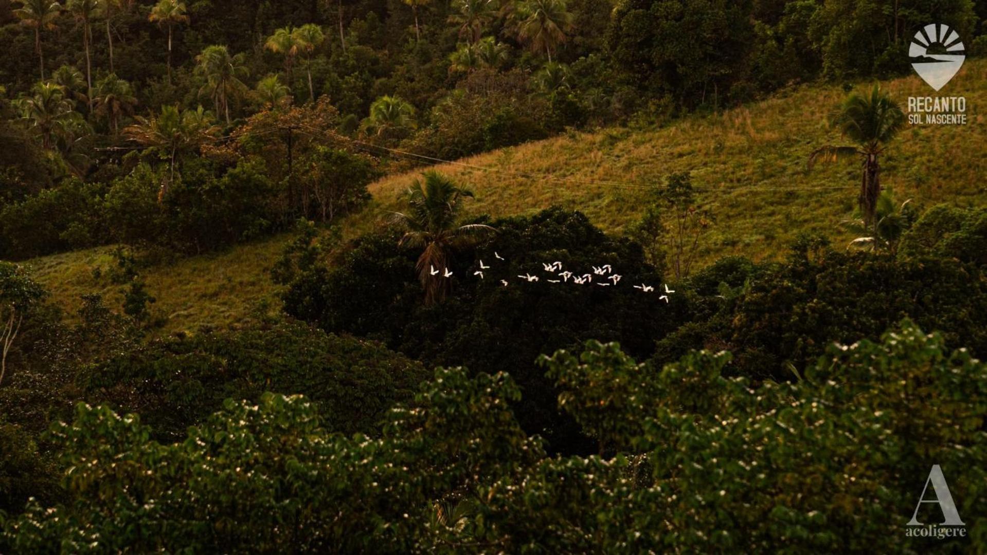 Pousada Recanto Sol Nascente, Luxo E Proximidade Com A Natureza Hotel Rio Formoso Exterior foto