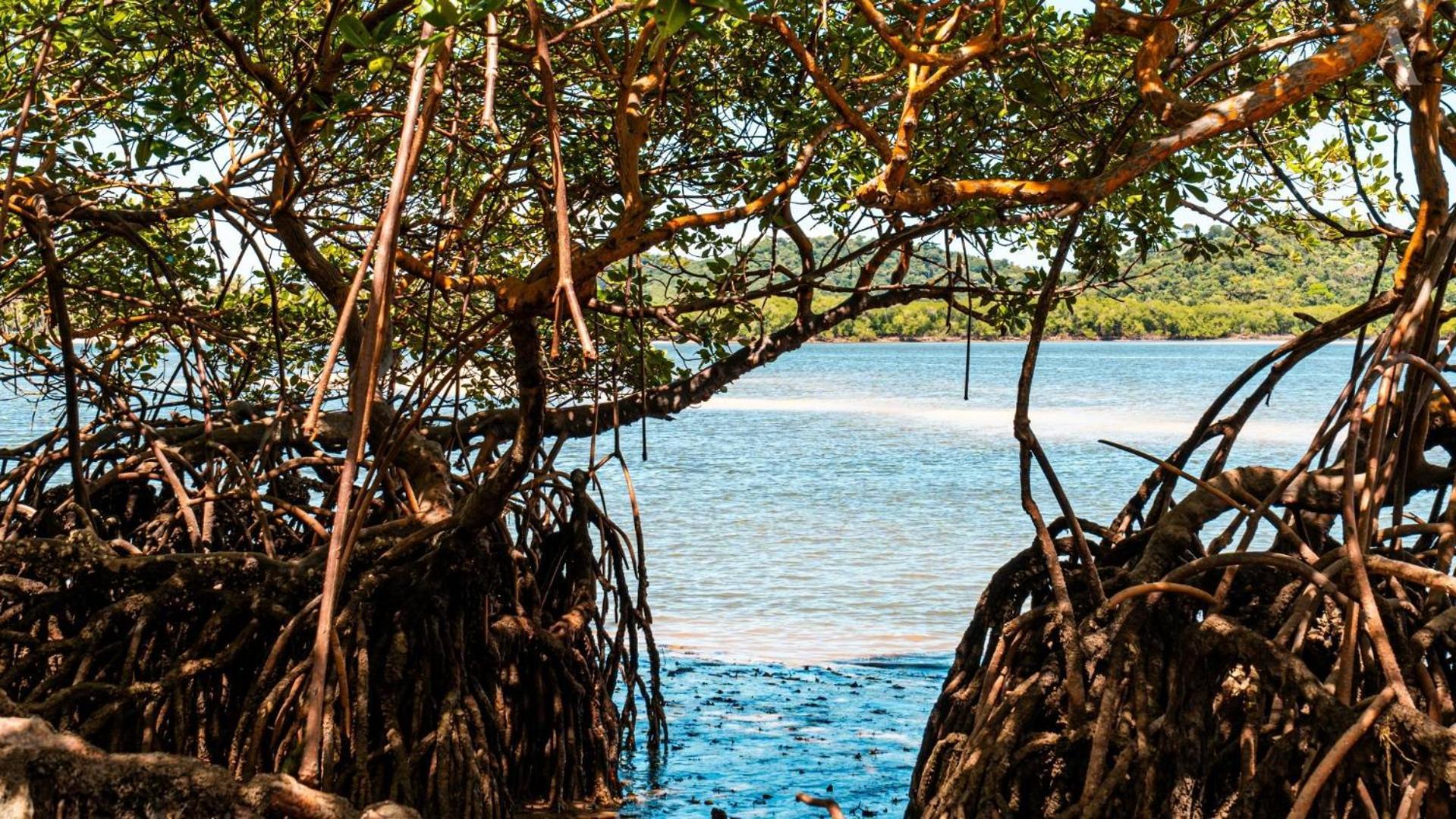 Pousada Recanto Sol Nascente, Luxo E Proximidade Com A Natureza Hotel Rio Formoso Exterior foto